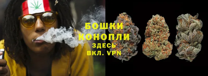 Конопля OG Kush  Снежногорск 